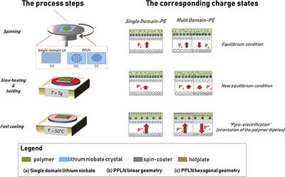 Pyro-Electrification of Freestanding Polymer Sheets: A New Tool for Cation-Free Manipulation of Cell Adhesion in vitro